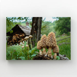 Mushroom Jungle Art Decor | MusaArtGallery™