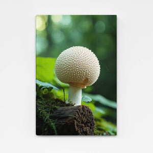 White Cute Mushroom Art | MusaArtGallery™