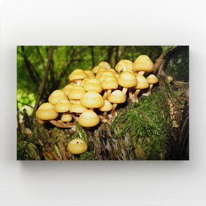 Yellow Mushroom Art | MusaArtGallery™