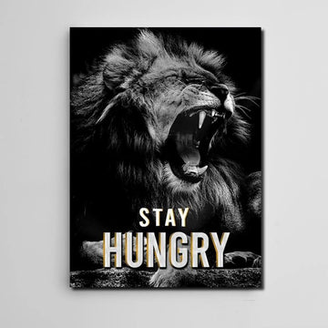 Get The Lion's  Mindset With These 7 Powerful Habits You Can Start To Use Now