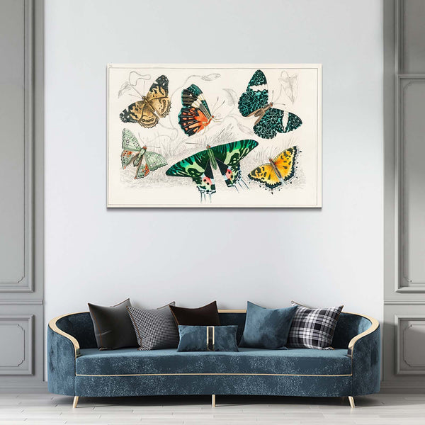 3 D Butterfly Wall Art | MusaArtGallery™