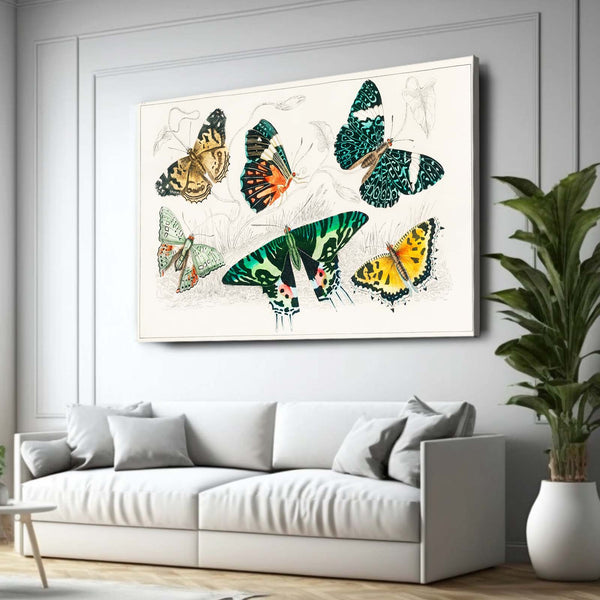 3 D Butterfly Wall Art | MusaArtGallery™