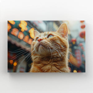 City Orange Cat Art   | MusaArtGallery™