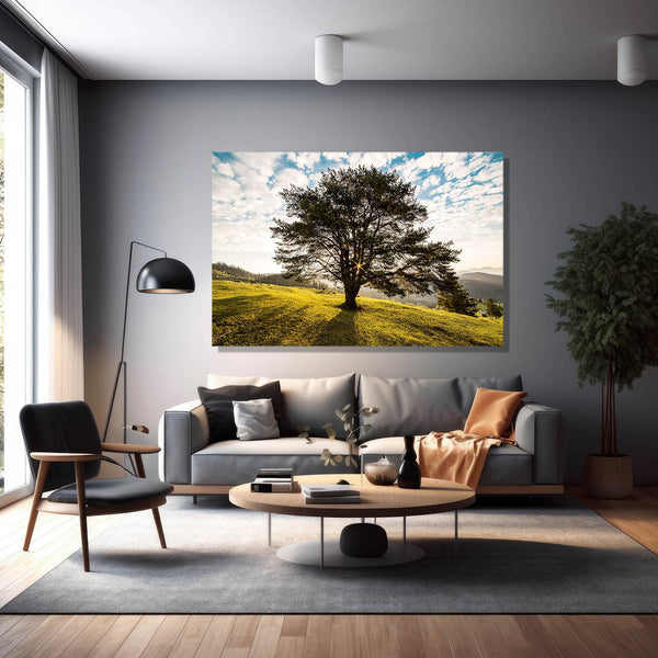 Sunlit Meadow Tree Art | MusaArtGallery™