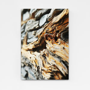 Abstract Driftwood Art | MusaArtGallery™