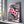 Ace Card Cherry Blossom Flower Art