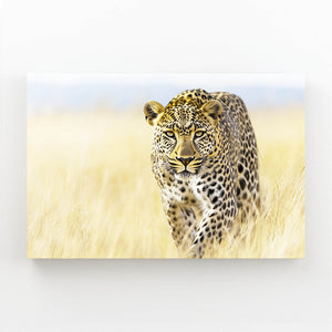 Africa Leopard Wall Art