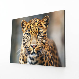 African Leopard Framed Wall Art