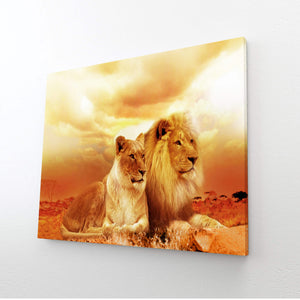 African Lion Wall Art | MusaArtGallery™