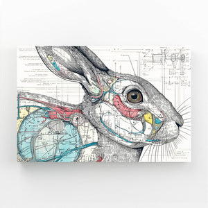 Anatomy Bunny Rabbit Wall Art