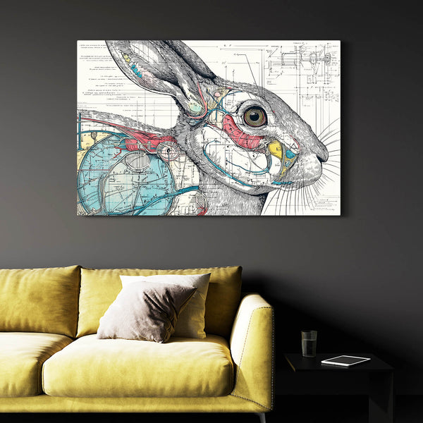 Anatomy Bunny Rabbit Wall Art
