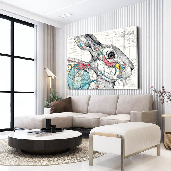 Anatomy Bunny Rabbit Wall Art
