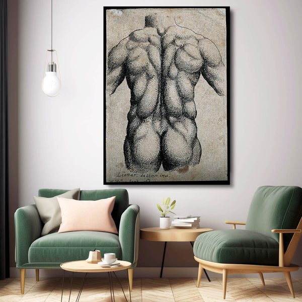 Anatomy Leonard Da Vinci