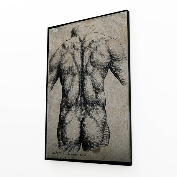 Anatomy Leonard Da Vinci