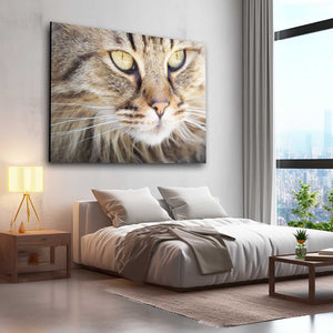 Angry Brown Cat Art | MusaArtGallery™