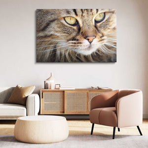 Angry Brown Cat Art | MusaArtGallery™