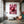 Apple Art Pink