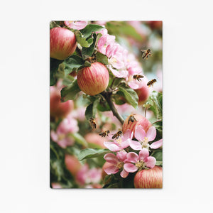 Apple Tree Wall Art