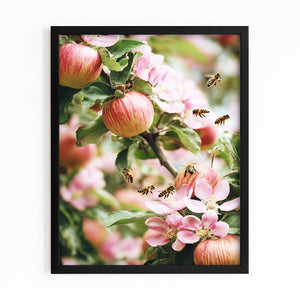 Apple Tree Wall Art