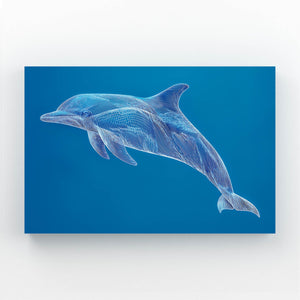Aqua Dolphin Art