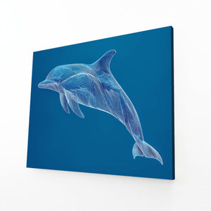 Aqua Dolphin Art