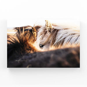 Art Horses