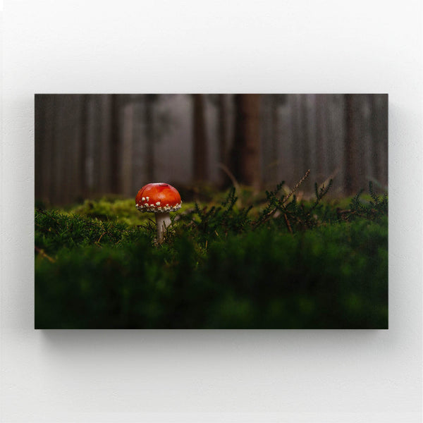 Art Mushroom | MusaArtGallery™