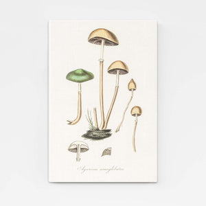 Art Nouveau Mushroom | MusaArtGallery™
