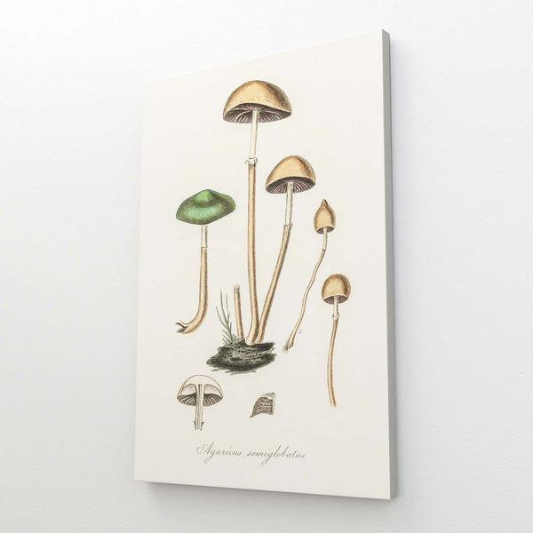 Art Nouveau Mushroom | MusaArtGallery™