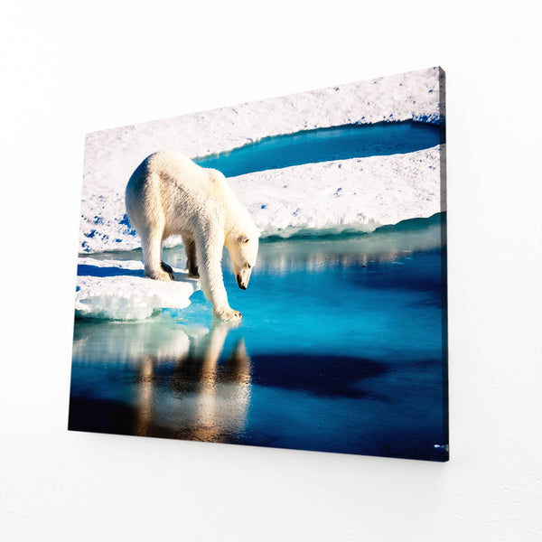 Artic Bear Wall Art