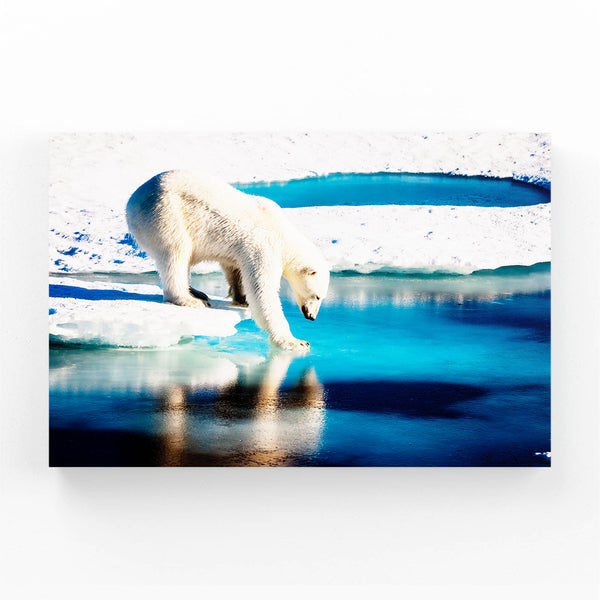 Artic Bear Wall Art