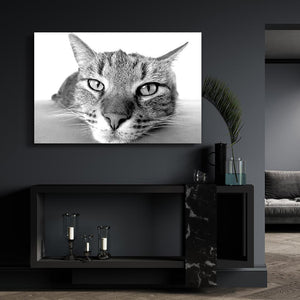 Atomic Kitty Retro Art Wall | MusaArtGallery™