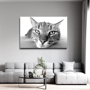 Atomic Kitty Retro Art Wall | MusaArtGallery™