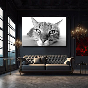 Atomic Kitty Retro Art Wall | MusaArtGallery™
