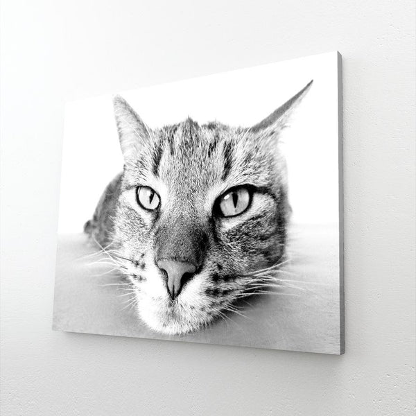 Atomic Kitty Retro Art Wall | MusaArtGallery™