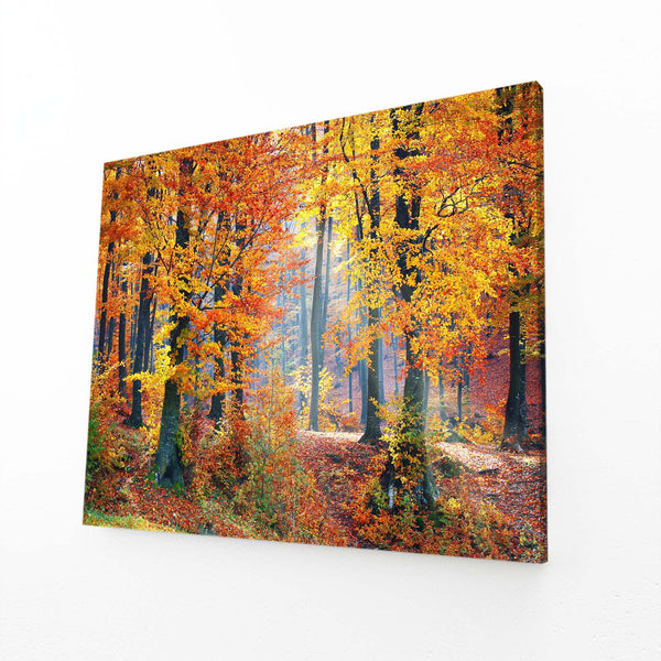 Autumn Forest Tree Art | MusaArtGallery™