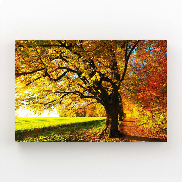 Autumn Path Tree Art | MusaArtGallery™