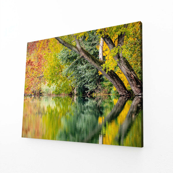 Autumn Reflection Tree Art | MusaArtGallery™