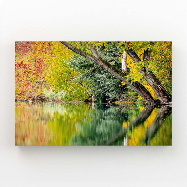 Autumn Reflection Tree Art | MusaArtGallery™