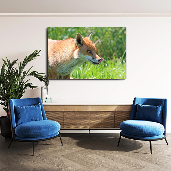 Awesome Fox Art | MusaArtGallery™