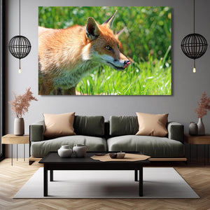 Awesome Fox Art | MusaArtGallery™