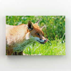 Awesome Fox Art | MusaArtGallery™