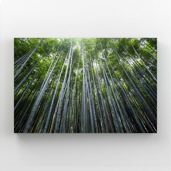 Bamboo Forest Tree Art | MusaArtGallery™