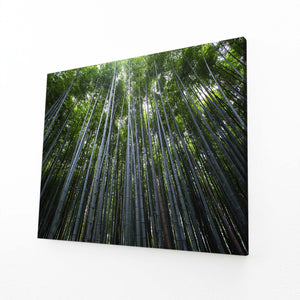 Bamboo Forest Tree Art | MusaArtGallery™