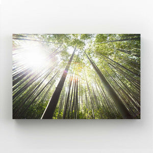 Bamboo Serenity Tree Art | MusaArtGallery™