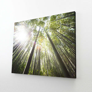 Bamboo Serenity Tree Art | MusaArtGallery™