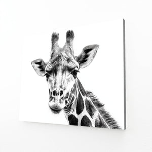 Basic Giraffe Artwork