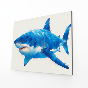 Basic Shark Art