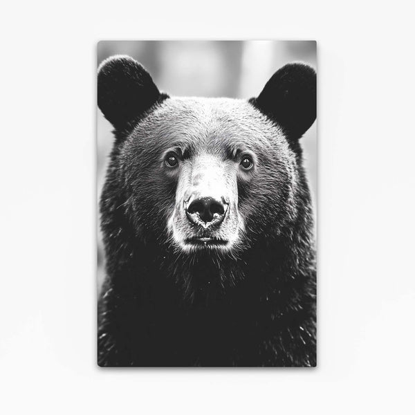 Bear Wall Art Black