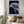 Bedroom Dolphin Artwork